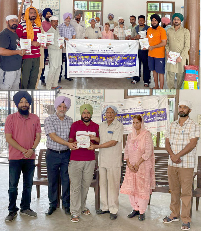 ਵੈਟਨਰੀ ਯੂਨੀਵਰਸਿਟੀ ਨੇ ਪਸ਼ੂਆਂ ਲਈ ਸੂਖਮ ਖਣਿਜਾਂ ਦੀ ਮਹੱਤਤਾ ਦੱਸਣ ਸੰਬੰਧੀ ਕੀਤਾ ਕੈਂਪ ਦਾ ਆਯੋਜਨ